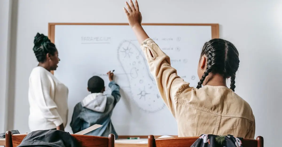 La differenza tra tutoring e insegnamento tradizionale