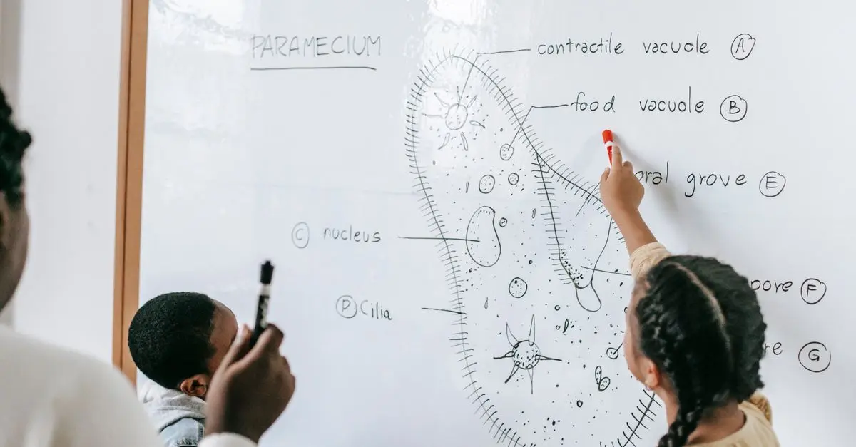Come sviluppare un piano di tutoraggio personalizzato