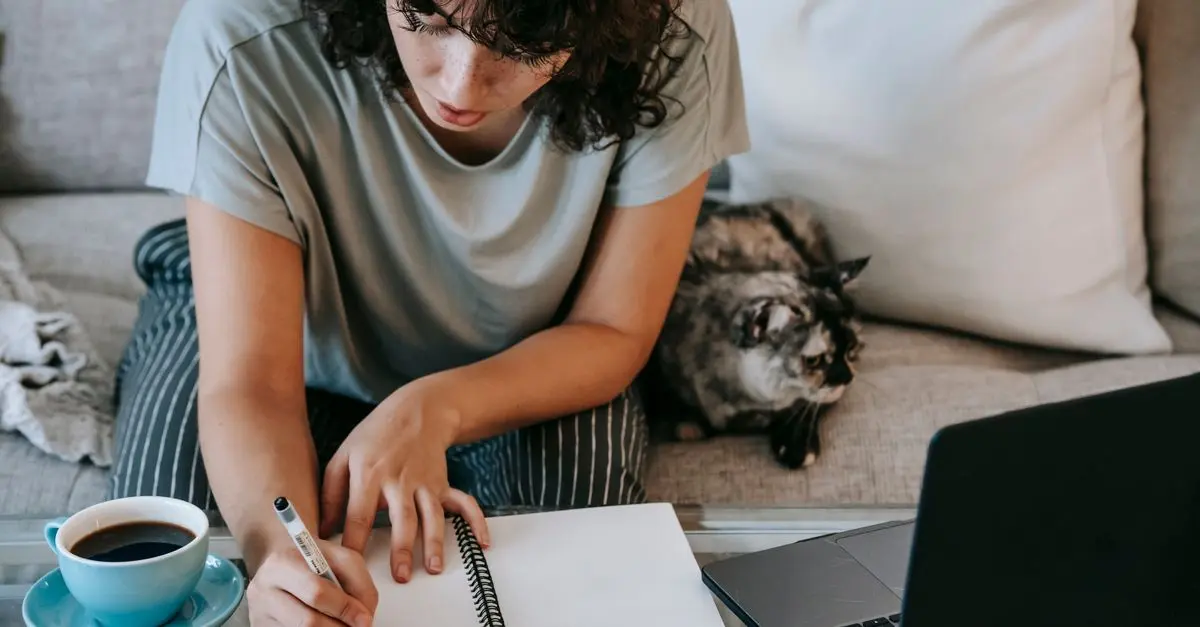 Come funziona uno strumento di tutoring online