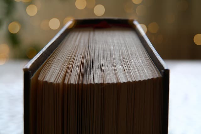 10 risorse indispensabili per tutor e studenti